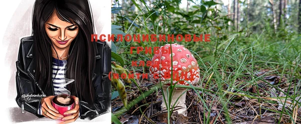 mdma Богданович