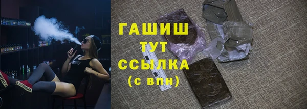 индика Сатка